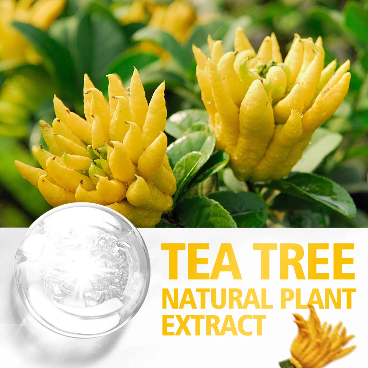 Bergamot essential oil is unique and attractive, suitable for body care and hair care, and can also be used in a diffuser.